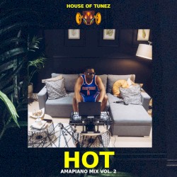 HOT Amapiano Mix Vol. 2 (DJ Mix)
