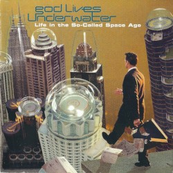 Life in the So-Called Space Age