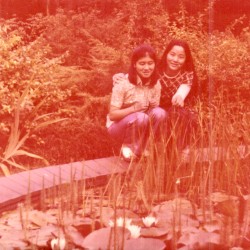 파독: 소라에게