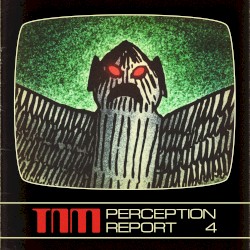 Perception Report 4
