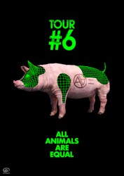 Live #6 at O-EAST 20191117