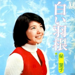 白い羽