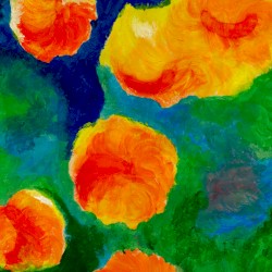 Golden State / Gardens and Stars