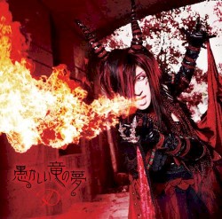 愚かしい竜の夢