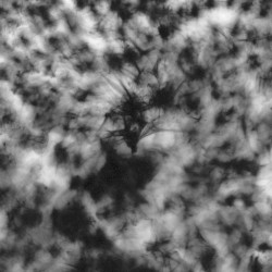 Live in the Ruins of Leofels Castle, Leofels Germany. August 18th 2000.