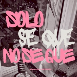 solo se que no se que