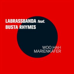 Woo Hah Marienkäfer