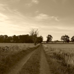 På den väg som vi går