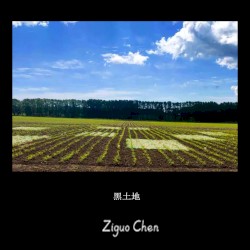 黑土地