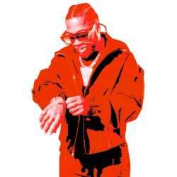 Melo Chip and a Brick