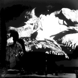 I Will Give You a War Engine