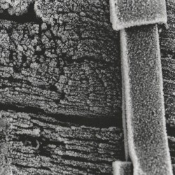 Live at EMUSIC, Nazareth USA April 17th 2003