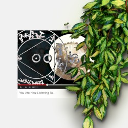 You Are Now Listening To...