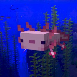 Axolotl in the Ocean