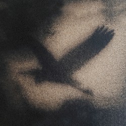 Musique pour Ombres Mécaniques