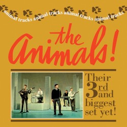 Animal Tracks