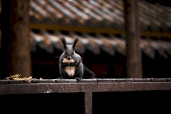 Only When We Become Helpless, Do We Truly Realize Our Inborn Vulnerability as Temporary Beings