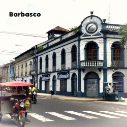 Barbasco