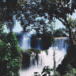 Put God At The Centre Of Everything And All That Is Good Shall Follow