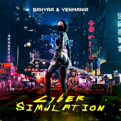 Cyber Simulation
