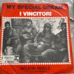 My Special Dream / Questo Pazzo Pazzo Pazzo... Pazzo Mondo