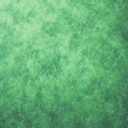 Moss