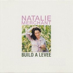 Build A Levee