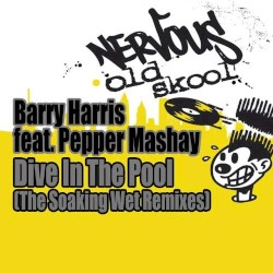 Dive In The Pool (The Soaking Wet Remixes)