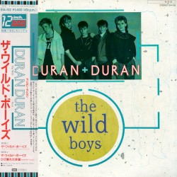 The Wild Boys