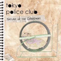 Nature of the Experiment