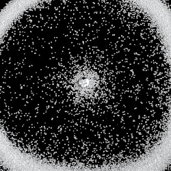 Road of the Lonely Ones