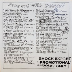 Ride The Wild Sounds