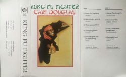 Kung Fu Fighter