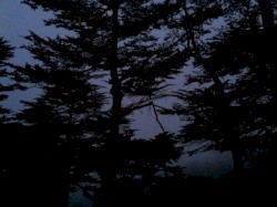 Music From The Headlands Center For The Arts, Volume Six - Archaic Torso