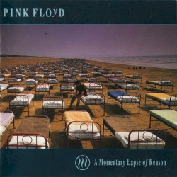 A Momentary Lapse of Reason