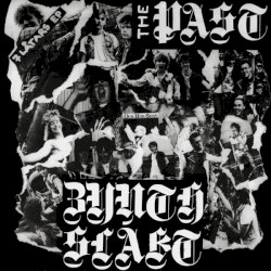 The Past / Zynthslakt