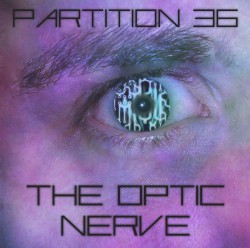 The Optic Nerve
