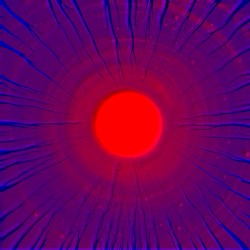 No one's a prophet in their own land