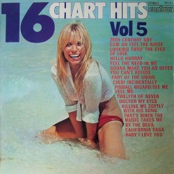 16 Chart Hits, Vol 5