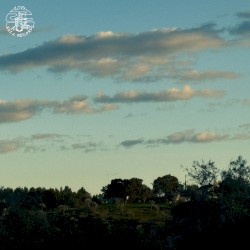 Early Light