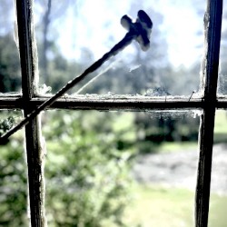 Shards of Repentance