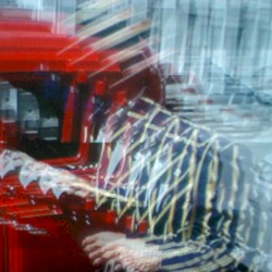 The Fresh Meat Was Thrown Into a Neon Coconut Tree