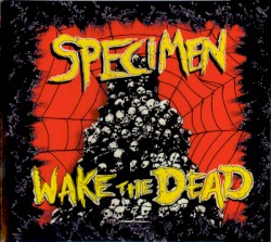 Wake The Dead