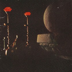 Theme For Ascension And Eternal Love