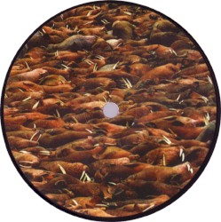 Soul Searching, Volume 2