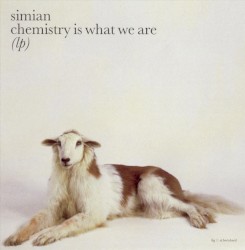 Chemistry Is What We Are