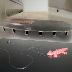 Freeroam 21 :: Critter containment loud hours rare!