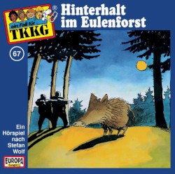 TKKG 67: Hinterhalt im Eulenforst
