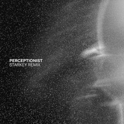 Perceptionist (Starkey remix)