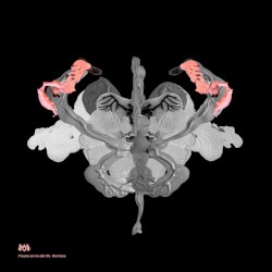 Fiesta en lo del Dr. Hermes